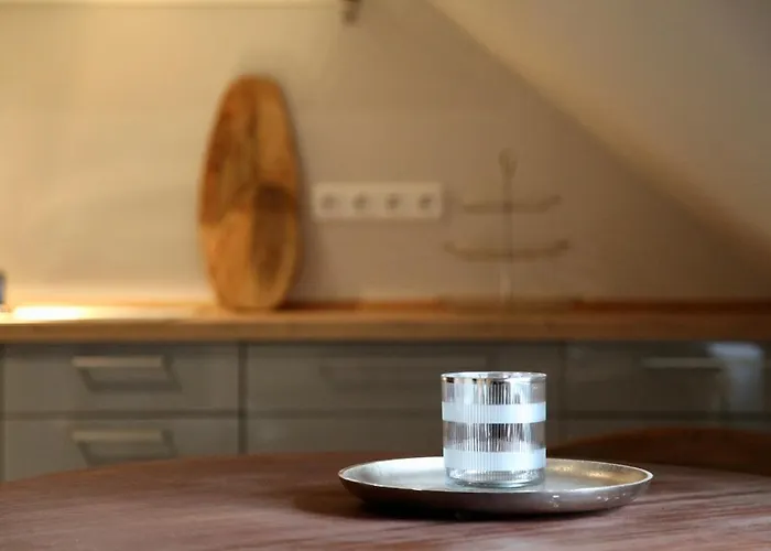 公寓 Provence Im Brikkhaus 